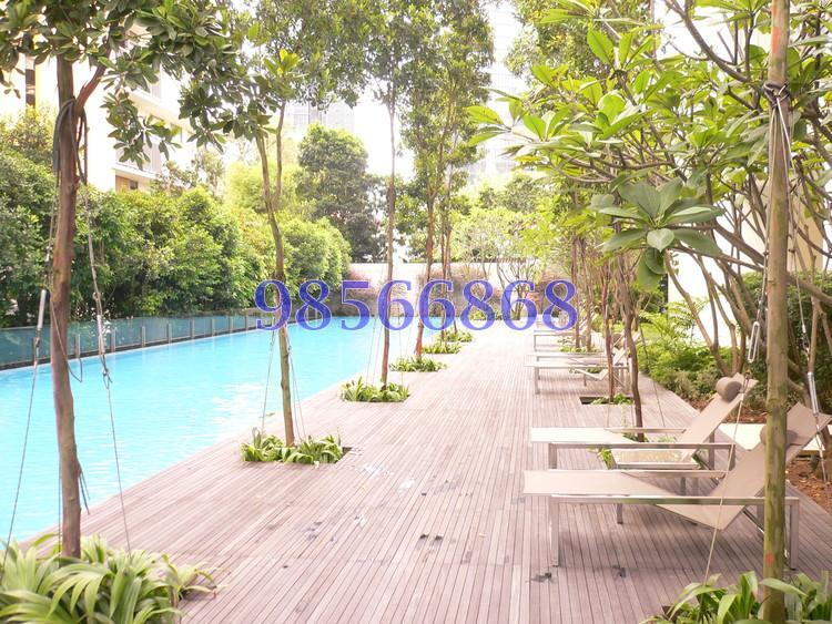 Orchard View (D9), Apartment #167377602